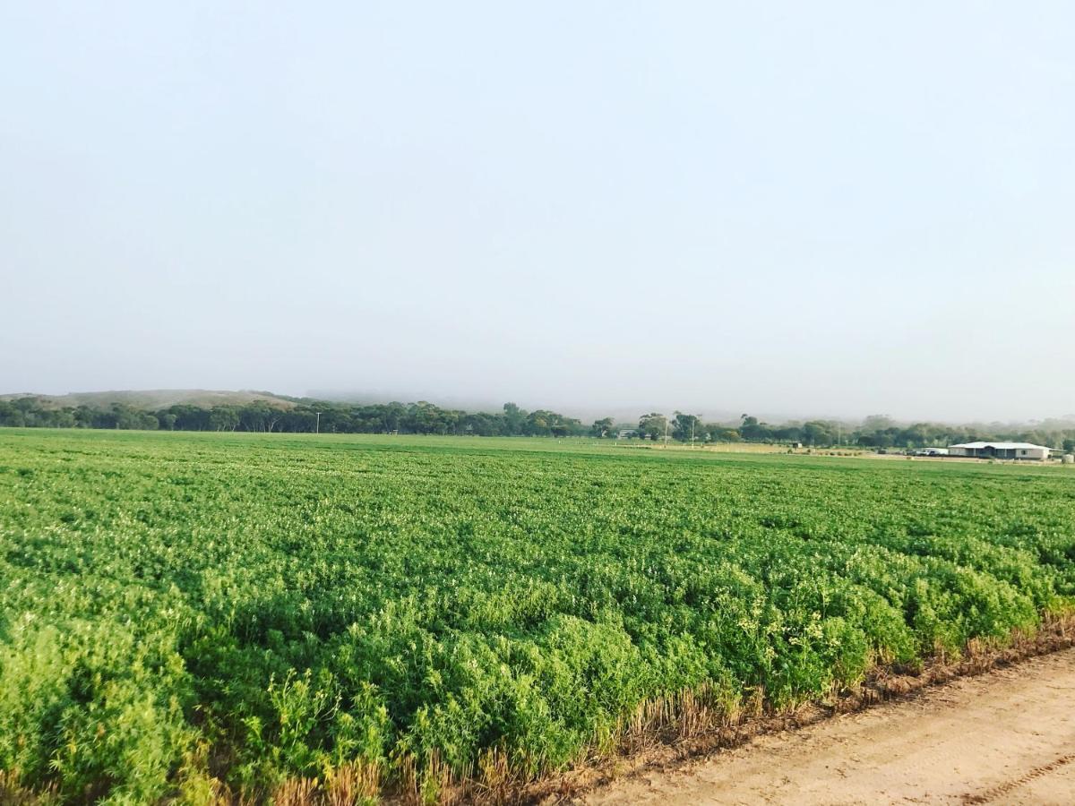 The Mains Guest House 2 Bedroom Farm Stay Corrigin ภายนอก รูปภาพ